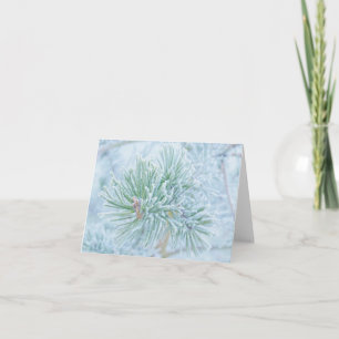 Frosted Pine Card