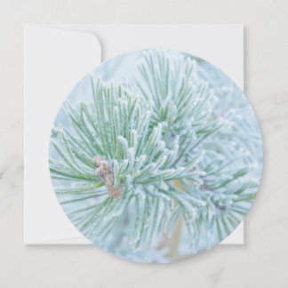 Frosted Pine Holiday Card