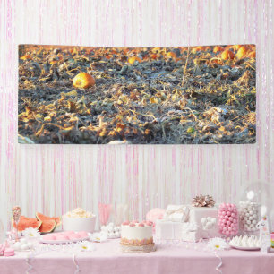 Frosted Pumpkin Patch  Banner