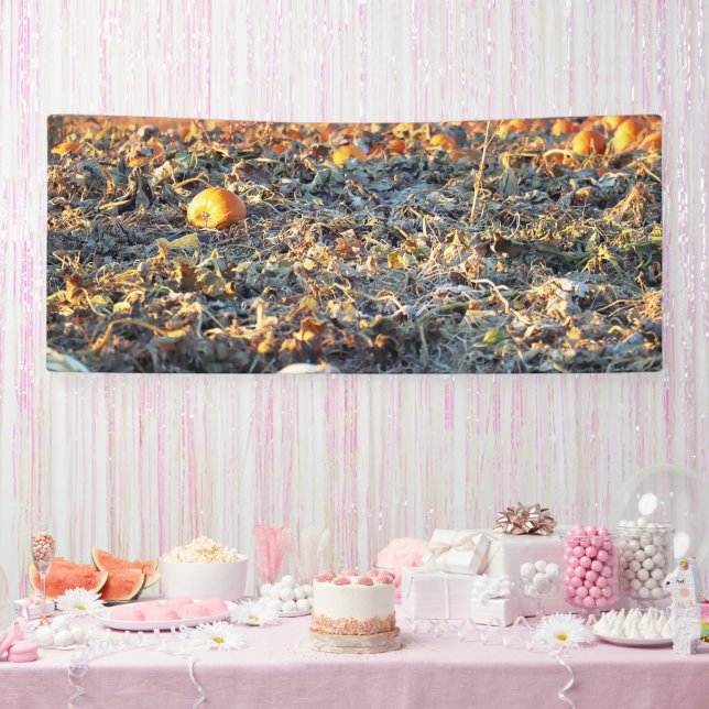 Frosted Pumpkin Patch  Banner (Party)