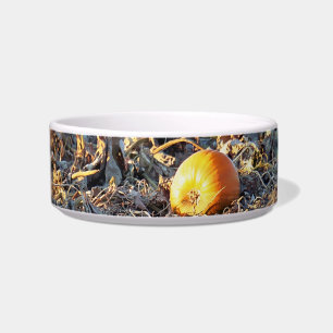 Frosted Pumpkin Patch Bowl