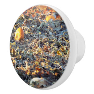 Frosted Pumpkin Patch Ceramic Knob