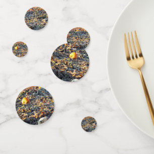 Frosted Pumpkin Patch Confetti