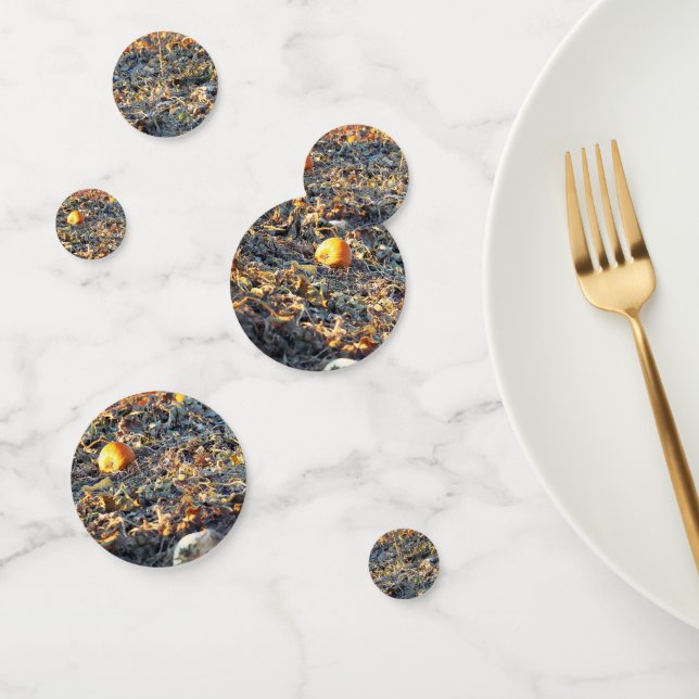Frosted Pumpkin Patch  Confetti (Group)