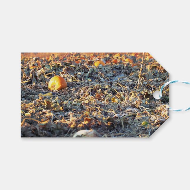 Frosted Pumpkin Patch  Gift Tags (Front (Horizontal))