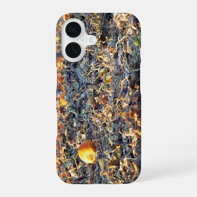 Frosted Pumpkin Patch  iPhone 16 Case (Back)