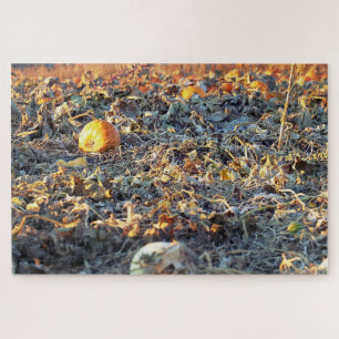 Frosted Pumpkin Patch Jigsaw Puzzle