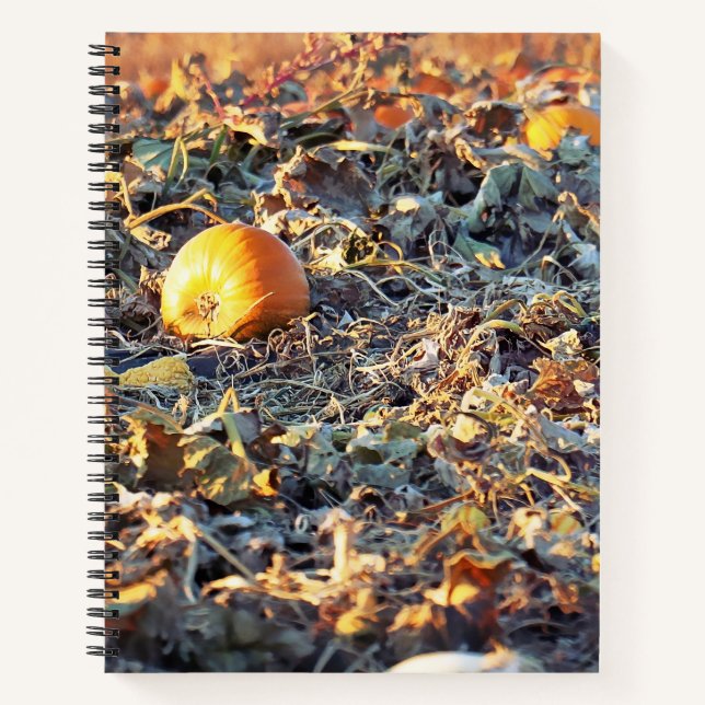 Frosted Pumpkin Patch  Notebook (Front)