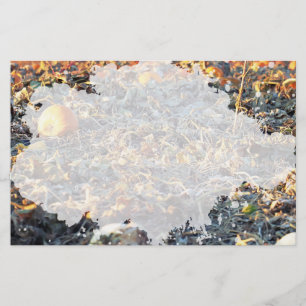 Frosted Pumpkin Patch  Stationery