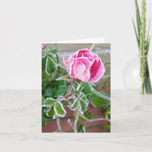 Frosted Rose Blank card
