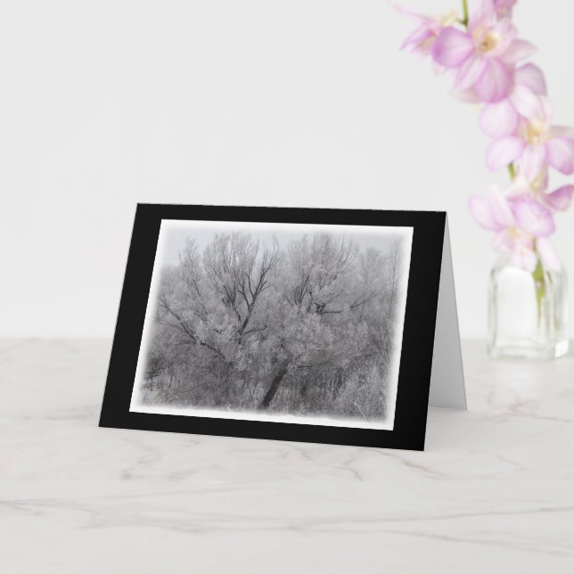 Frosted Trees Blank Greeting Card (Orchid)