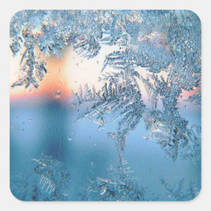 Frosted View Square Sticker
