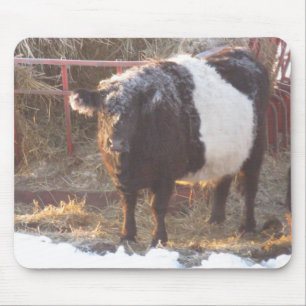 Frosty Belted Galloway Cow Mouse Mat