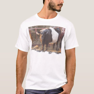 Frosty Belted Galloway Cow T-Shirt