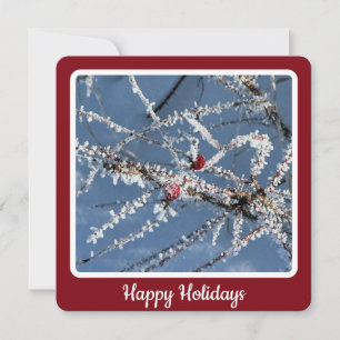 Frosty Branches - Flat Holiday Card