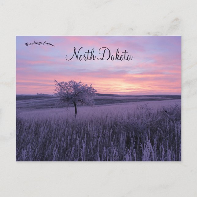 Frosty Erlenbusch Sunrise North Dakota Postcard (Front)