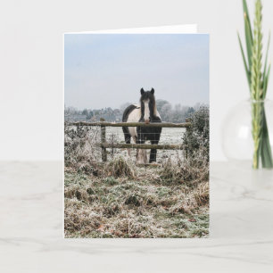 Frosty Field Holiday Card