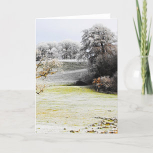 Frosty fields and trees holiday card