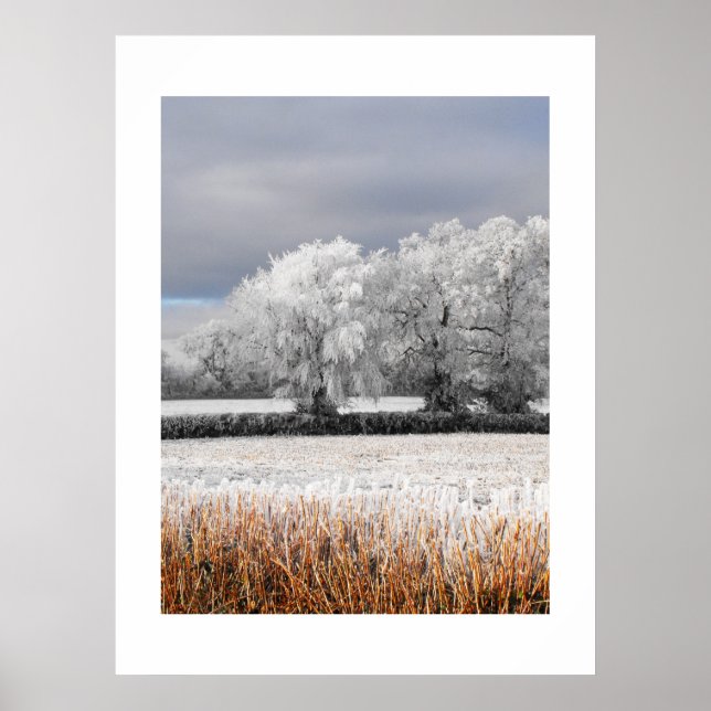 Frosty fields and trees poster (Front)
