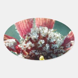 Frosty Flower Oval Sticker