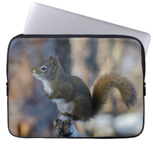 Frosty Forager: Canadian Winter Squirrel Laptop Sleeve