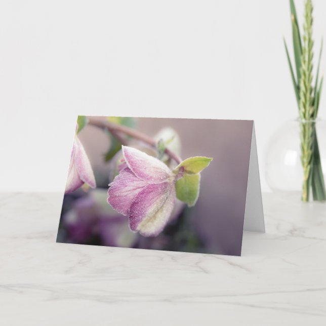 Frosty Helleborus Note  Card (Front)