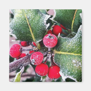 Frosty Holly Magnet