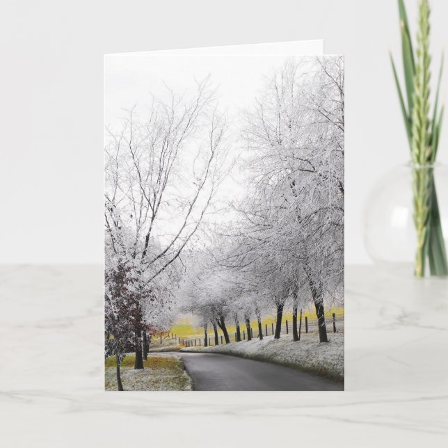 Frosty journey holiday card (Front)