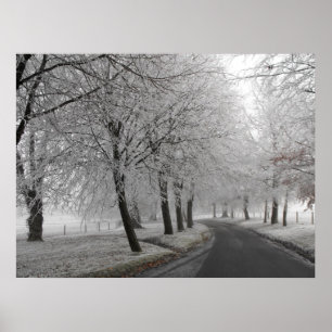 Frosty journey poster