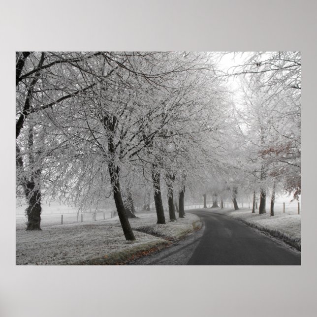 Frosty journey poster (Front)