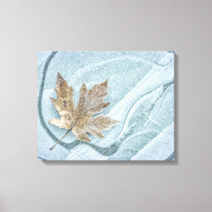 Frosty Maple Leaf Frozen on Ice Canvas Print