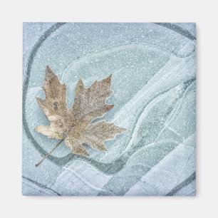 Frosty Maple Leaf Frozen on Ice Magnet