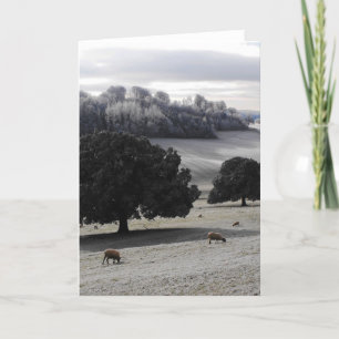 Frosty morning holiday card