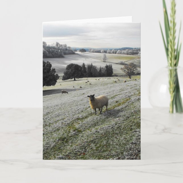 Frosty morning holiday card (Front)