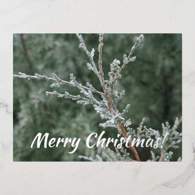Frosty Winter Evergreen Merry Christmas Foil Holiday Postcard (Front)