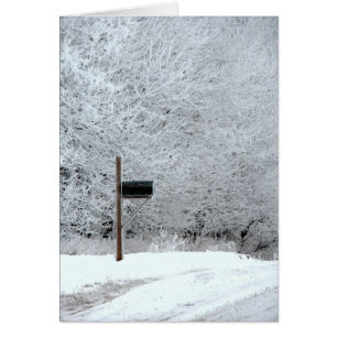 Frosty Winter Morning Country Road