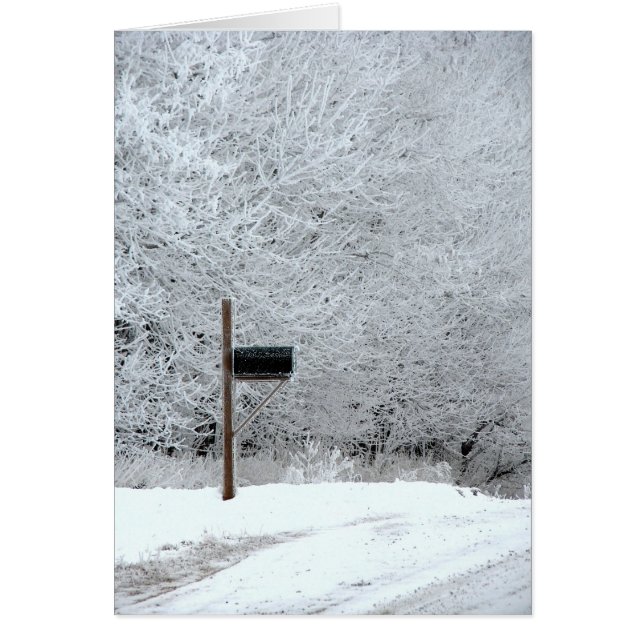 Frosty Winter Morning Country Road (Front)