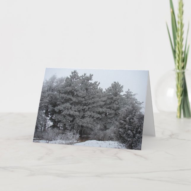 Frosty Winter Wonderland Holiday Card (Front)