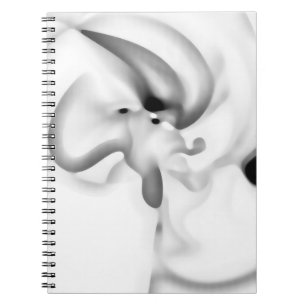 Frozen: Abstract Gray, White & Black Notebook
