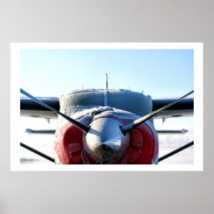 Frozen Airplane Poster