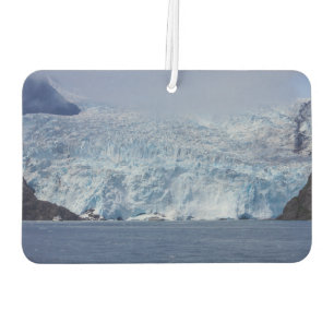 Frozen Beauty Car Air Freshener