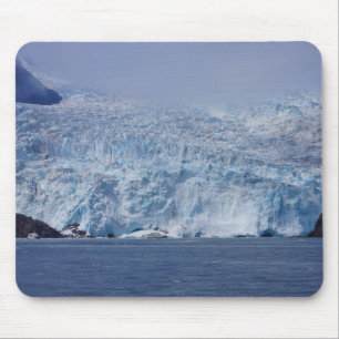 Frozen Beauty Mouse Mat