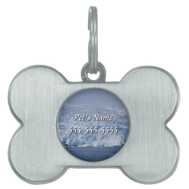 Frozen Beauty Pet Name Tag (Front)