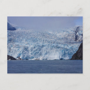 Frozen Beauty Postcard