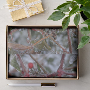 Frozen Berries on a Tree Branch Photo Tissue Paper