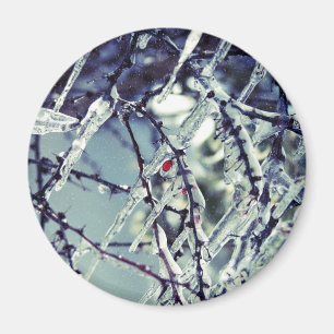 Frozen Berry Magnet