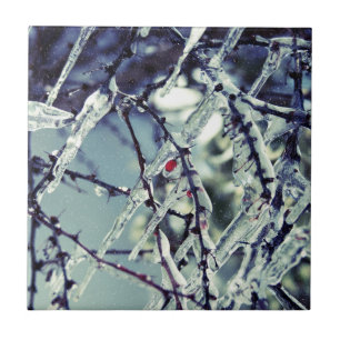 Frozen Berry Tile