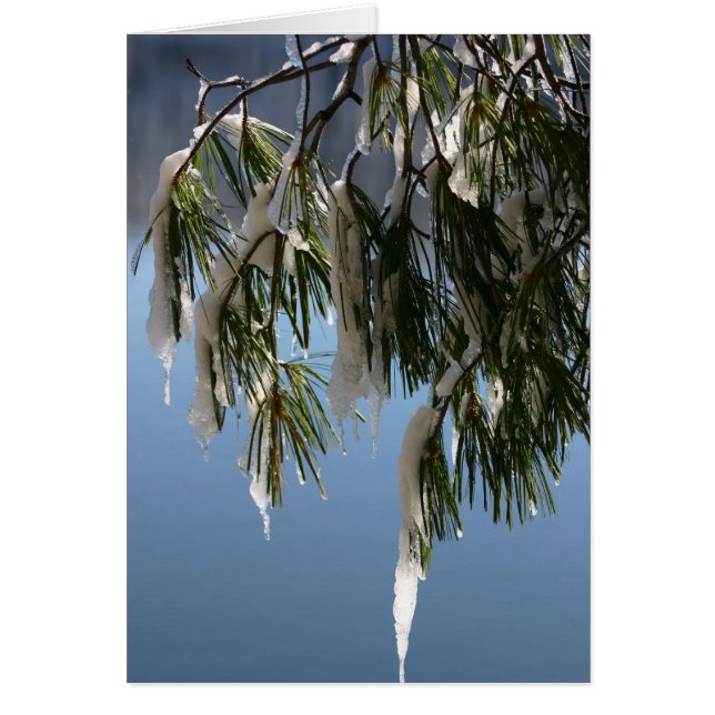 Frozen Branch (Front)