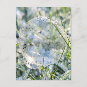 Frozen bubbles postcard