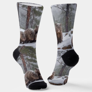 Frozen Burrow: Australian Wombat Family, Socks